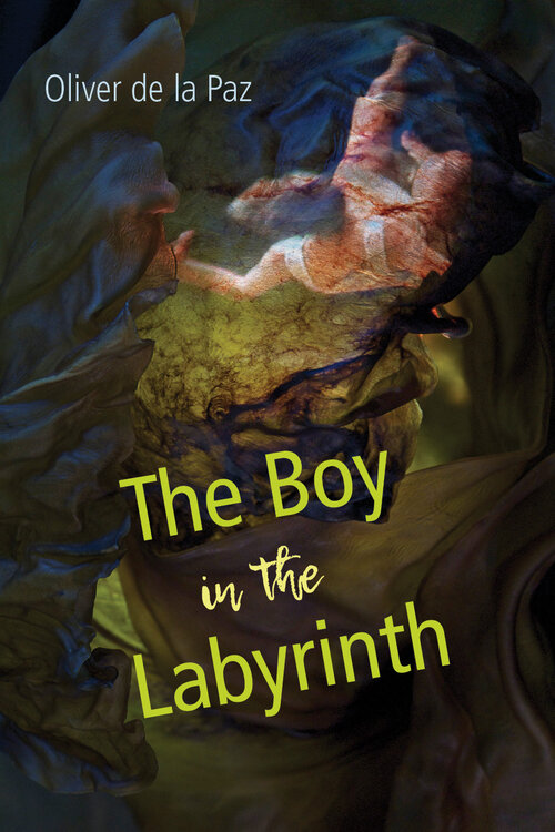 The Boy in the Labyrinth